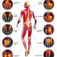 Снятие мышечного спазма в спине: в каких случаях показана операция — клиника «Добробут»