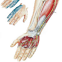 Причины онемения рук и пальцев на руках